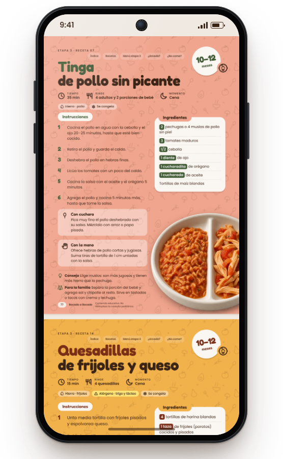Receta Tinga de pollo sin picante en el celular